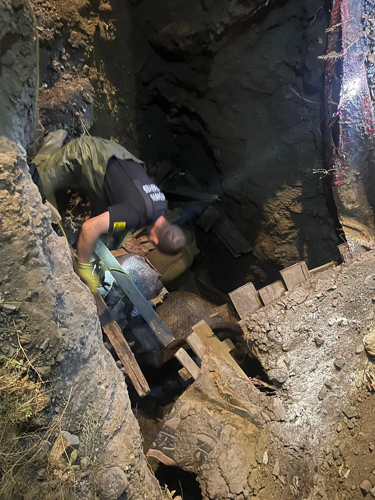 Hayvanlar çukura düştü