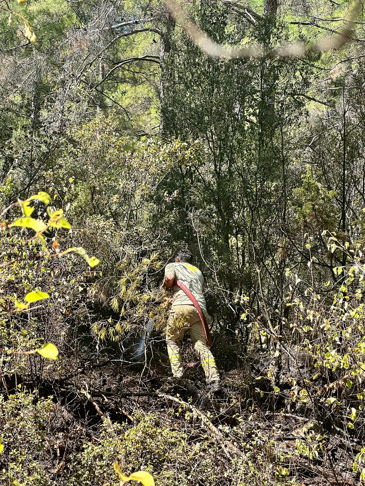 Ormana yıldırım isabet etti, yangın çıktı