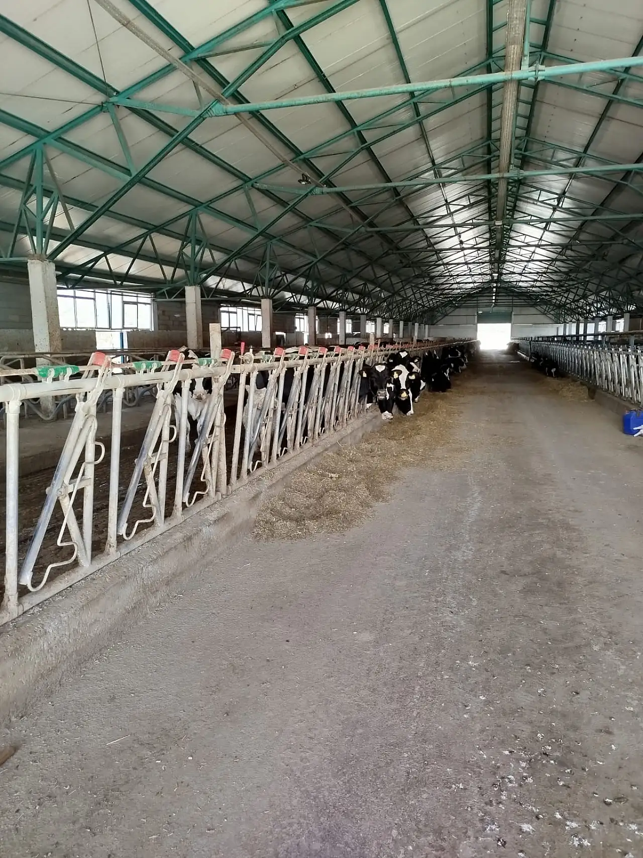 Konya'da hastalıktan ari işletmeler mercek altında