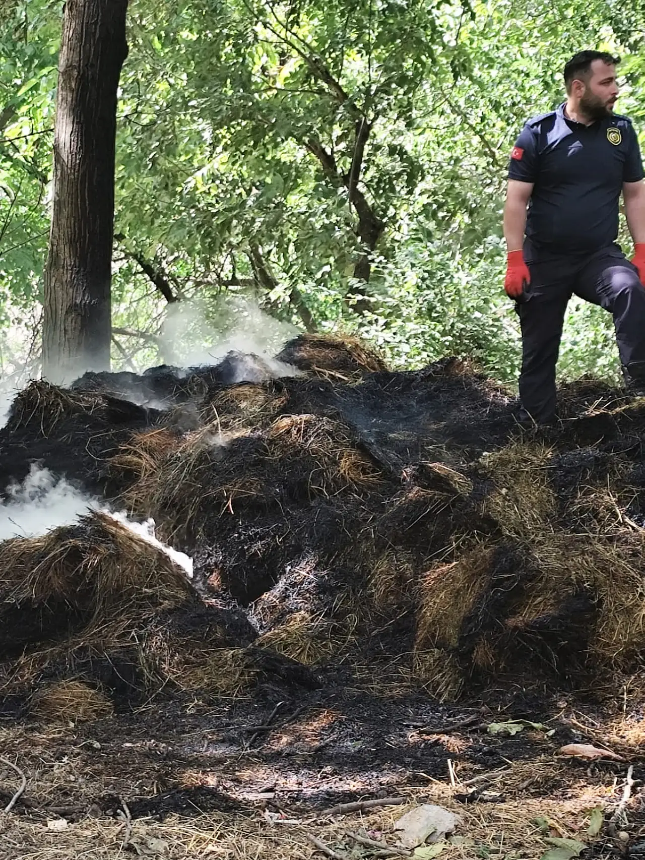 Kışlık yemler alevlere teslim oldu! 400 balya ot kül oldu