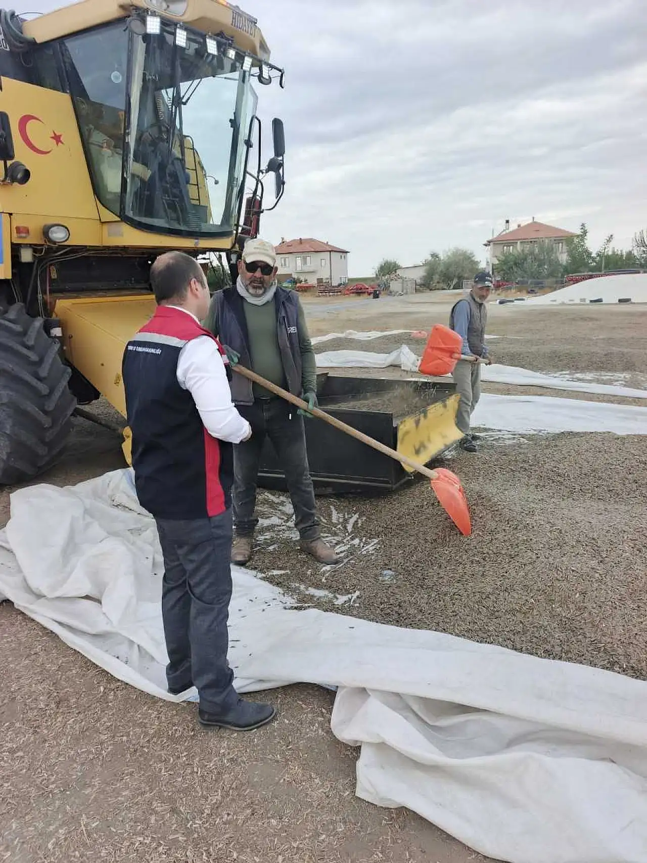 Konya'da güneşe dönen tarlalar mercek altında