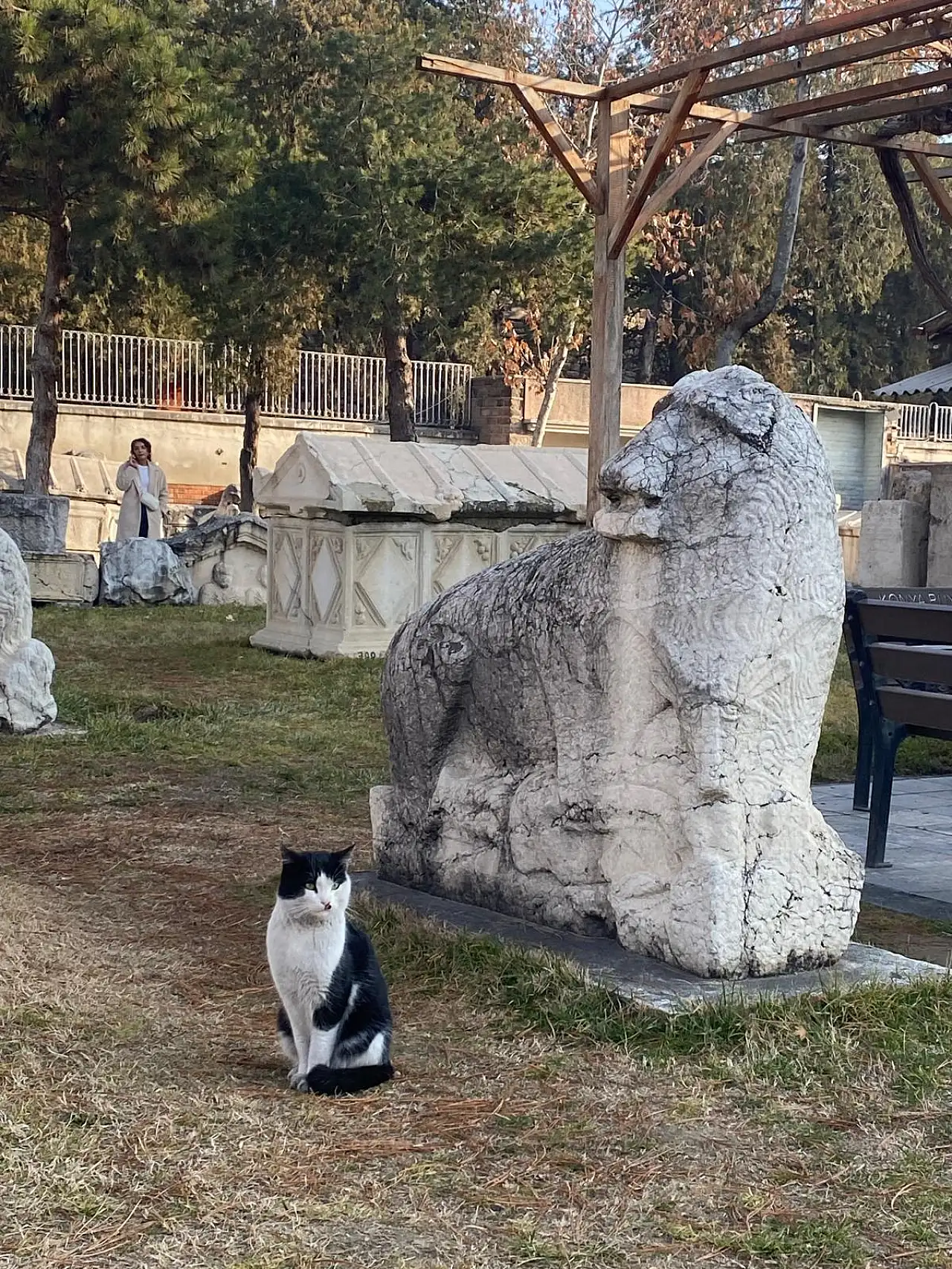 Çatalhöyük'ten Roma'ya uzanan devasa miras: Konya Arkeoloji Müzesi ziyaretçilerini bekliyor!