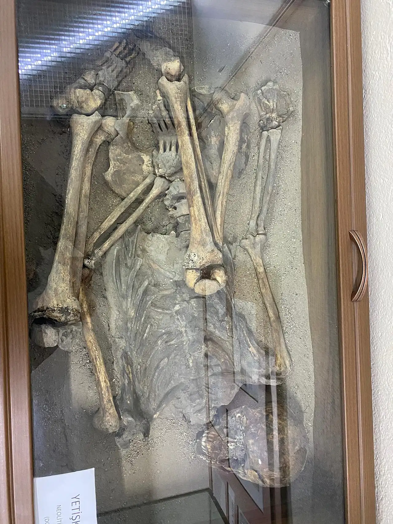 Çatalhöyük'ten Roma'ya uzanan devasa miras: Konya Arkeoloji Müzesi ziyaretçilerini bekliyor!