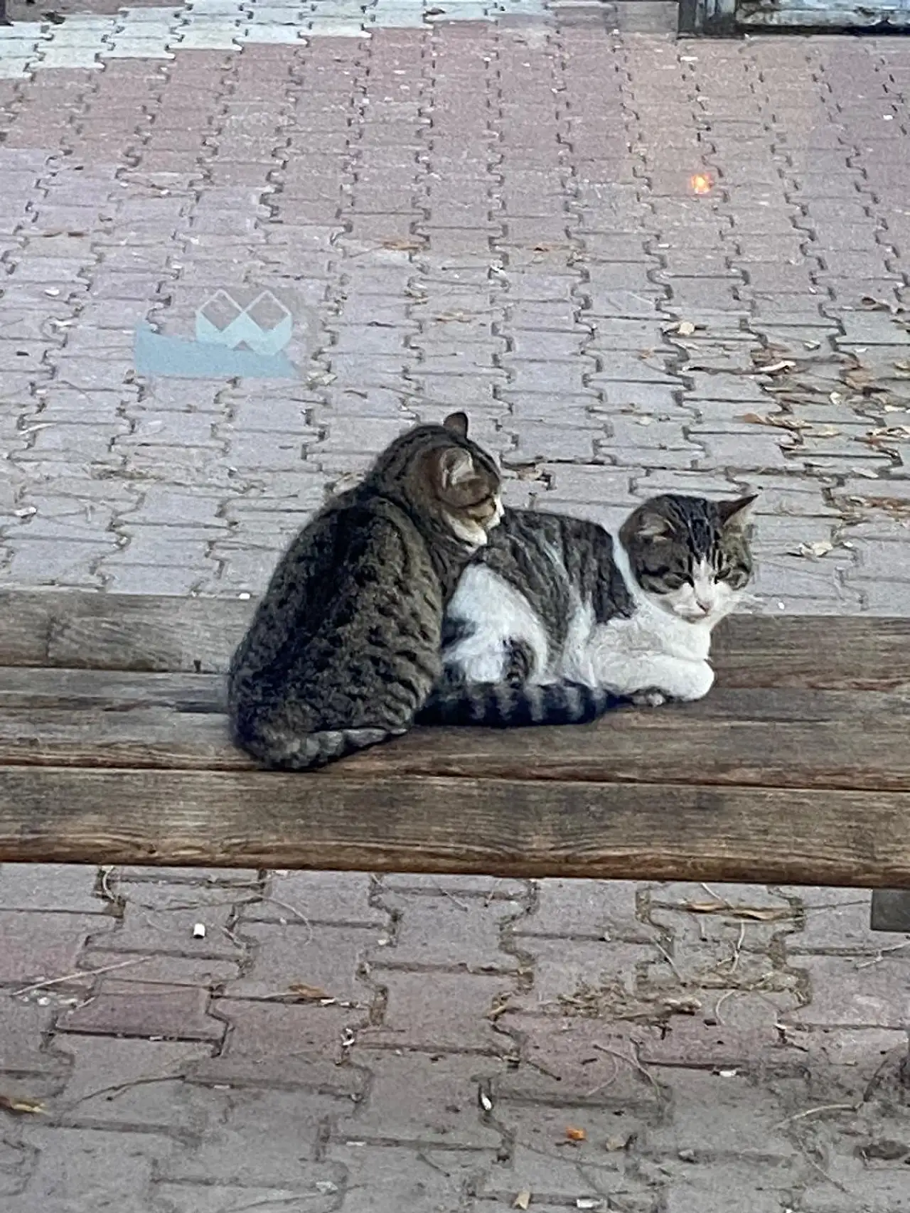 Konya'da Başkan Altınsoy'dan kritik çağrı! Herkes seferber olmalı