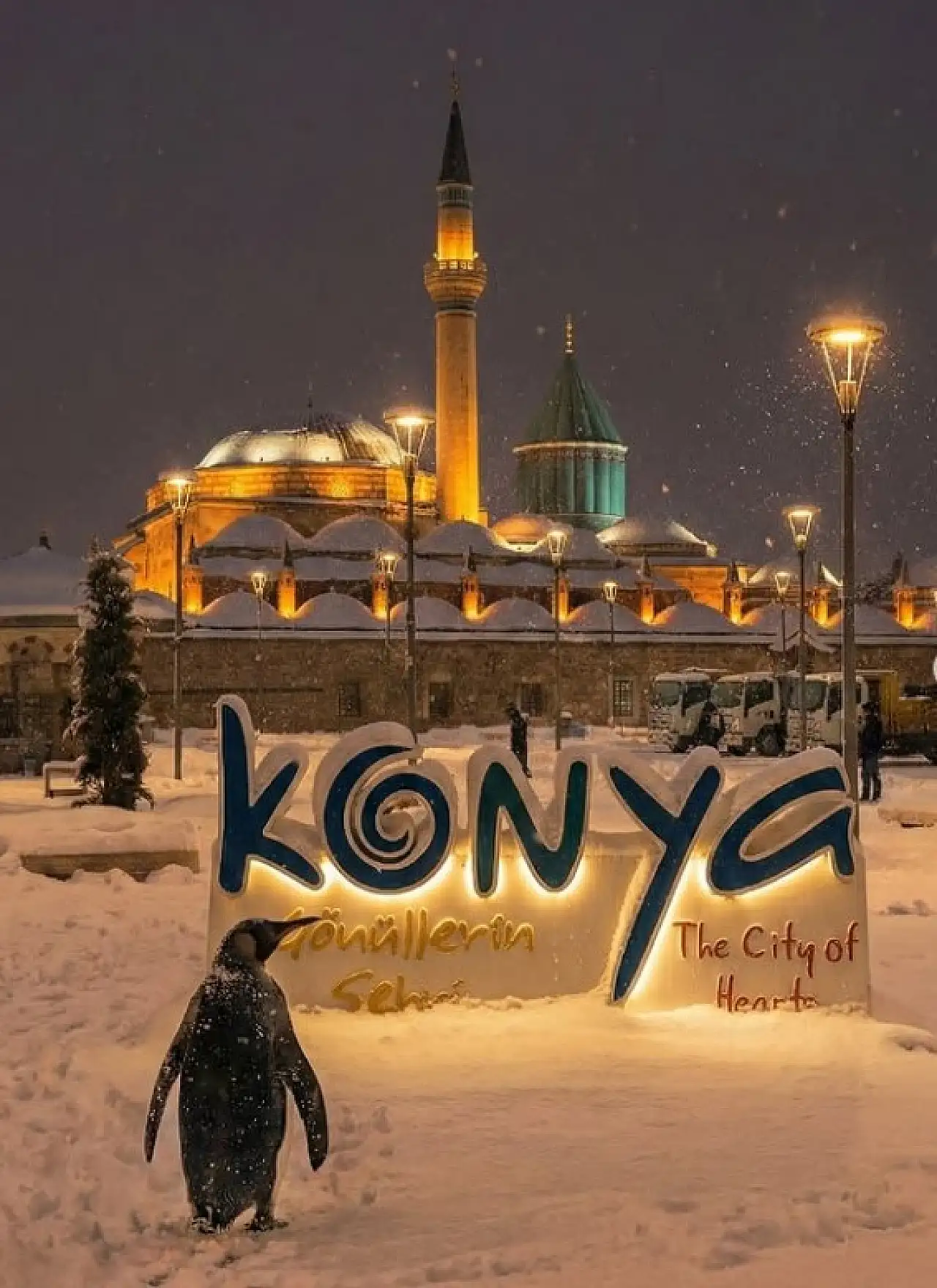 Ünlü penguen Konya'ya da ulaştı: Şehrin dört bir yanında görüntülendi!