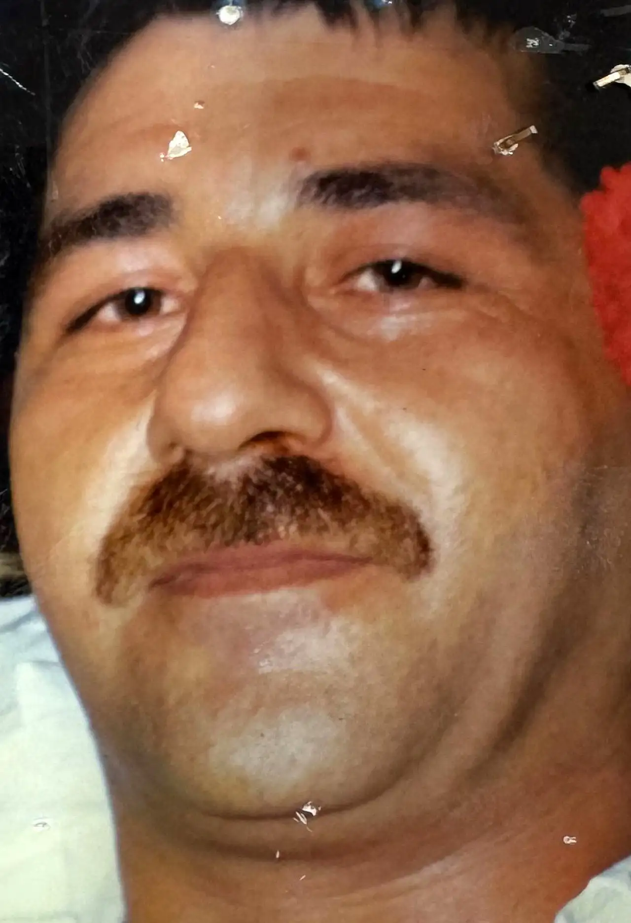 19 yıllık domuz bağı cinayeti çözüldü: 'Ben unuttum, siz nasıl unutmadınız'