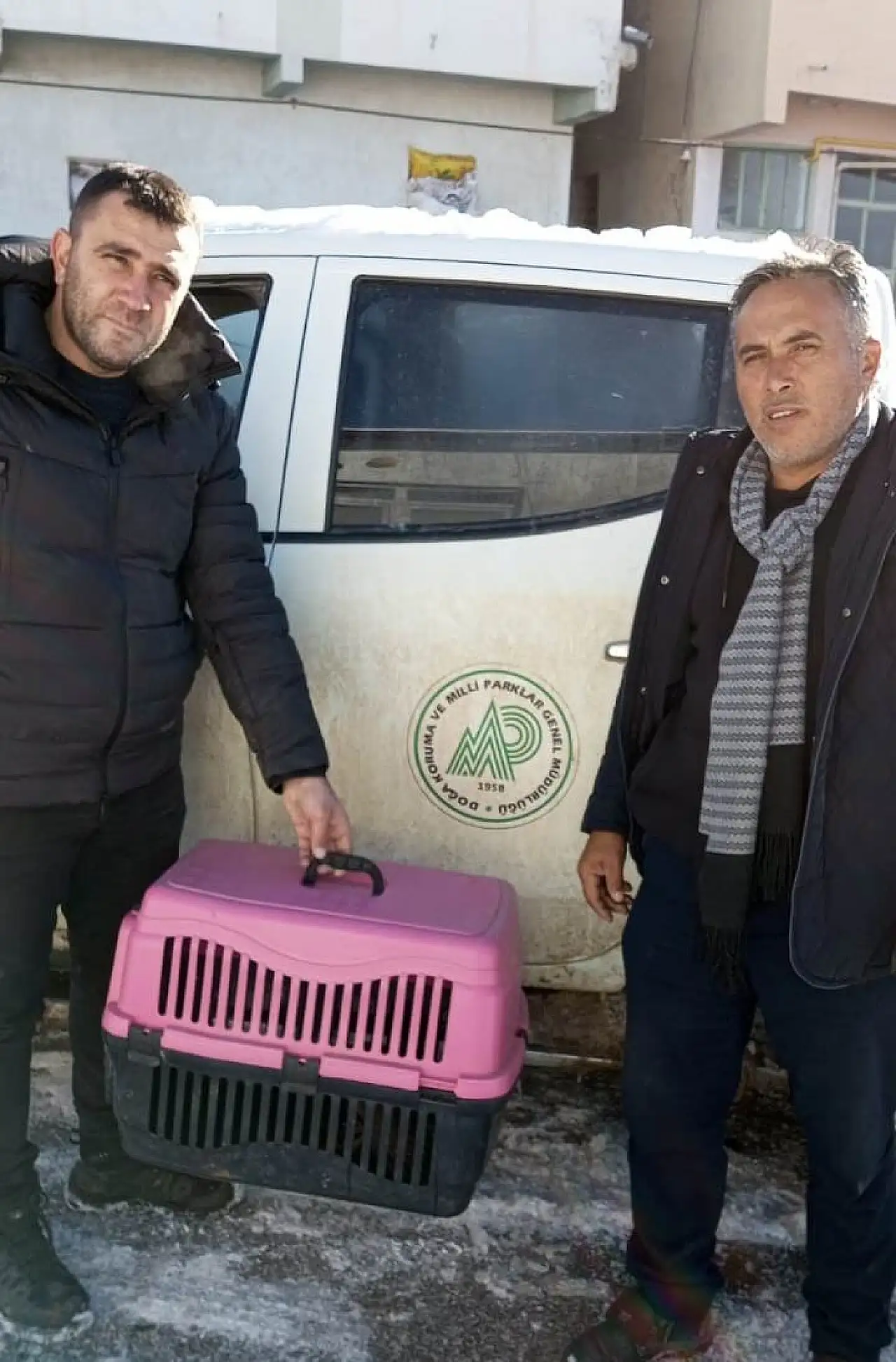 Konya'da yaralı bir atmaca bulundu