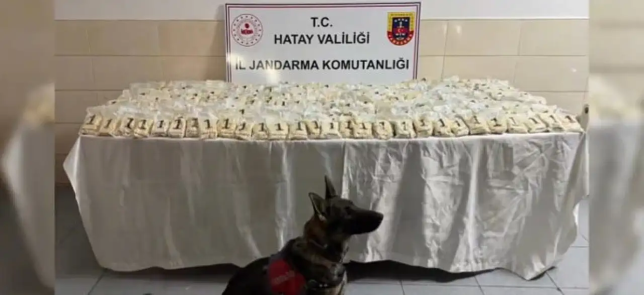 29 ilde uyuşturucu operasyonu: 1 ton 628 kg uyuşturucu madde ele geçirildi!