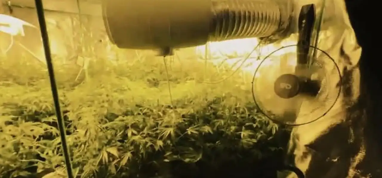 Konya'da da düğmeye basıldı: Milyonlarca uyuşturucu hap ele geçirildi