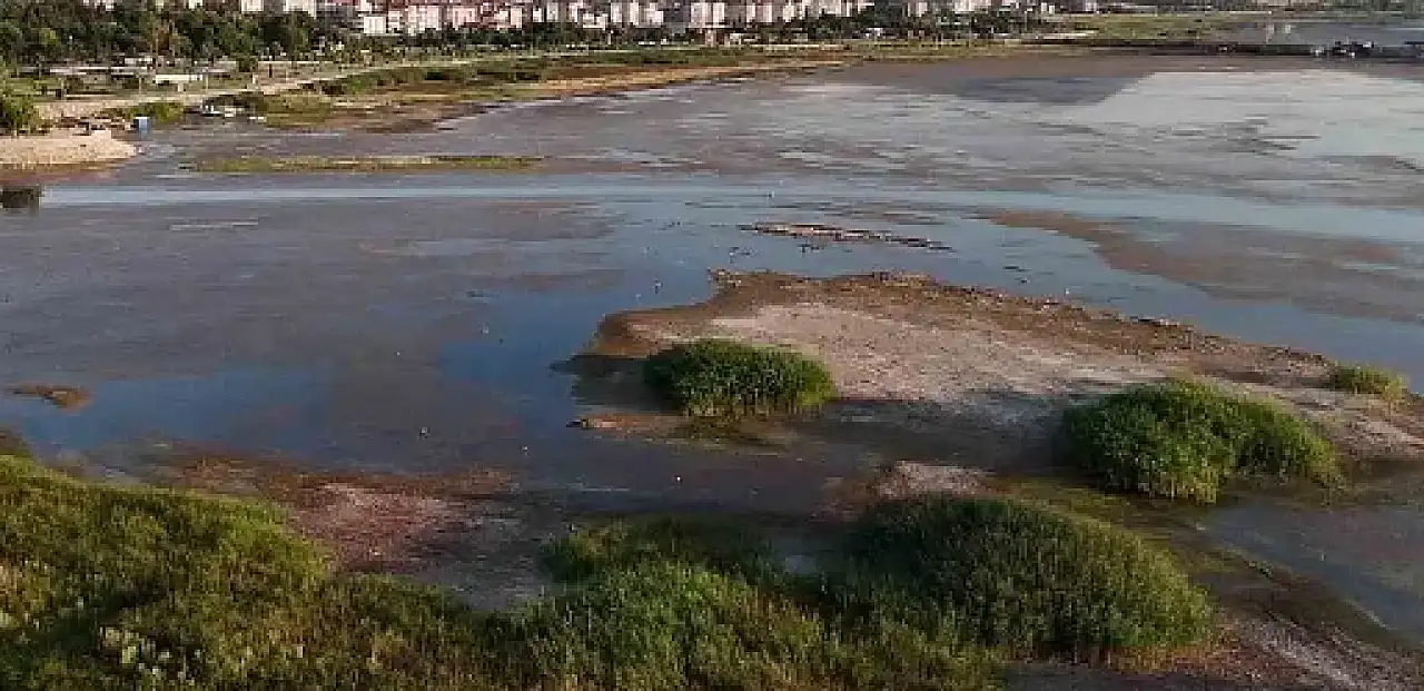 Konya'daki göller bakanlığın gündeminde: 10 yıllık mücadele için her şey tamam!