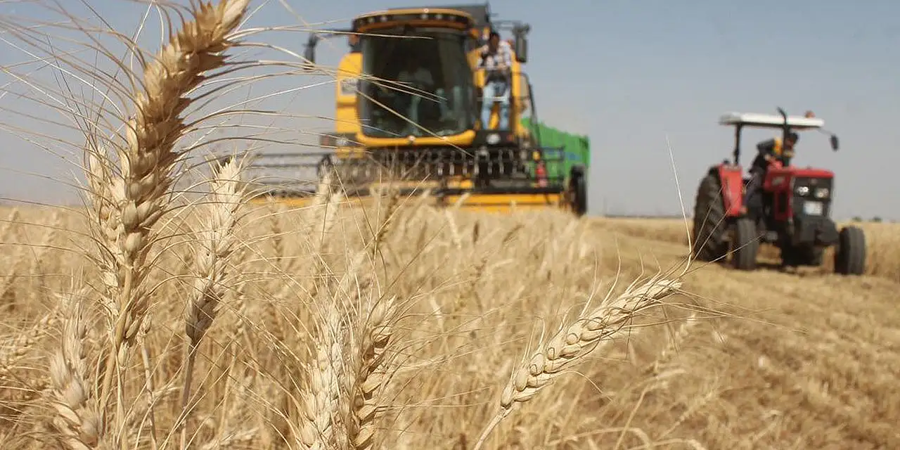 Çiftçilere kritik uyarı! Acele etmeyin...
