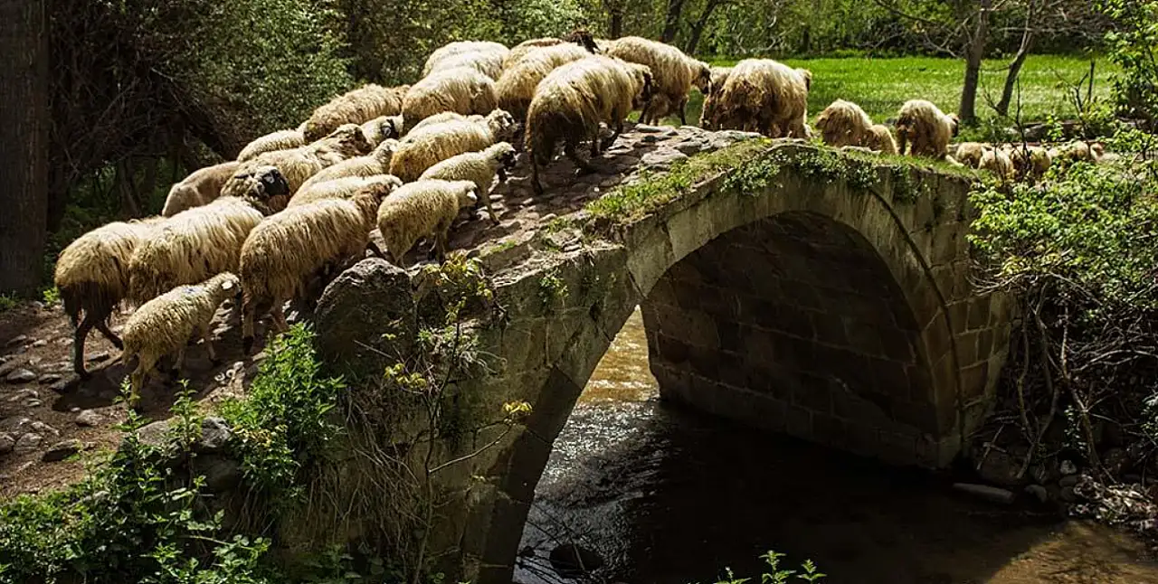Konyalılar bu yeri çok az biliyor: Gizli tarihi hazinesi!