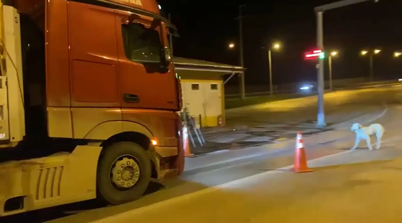 Denetimden kaçtılar, dinlenme tesisinde yakalandılar: 6 TIR'a rekor ceza