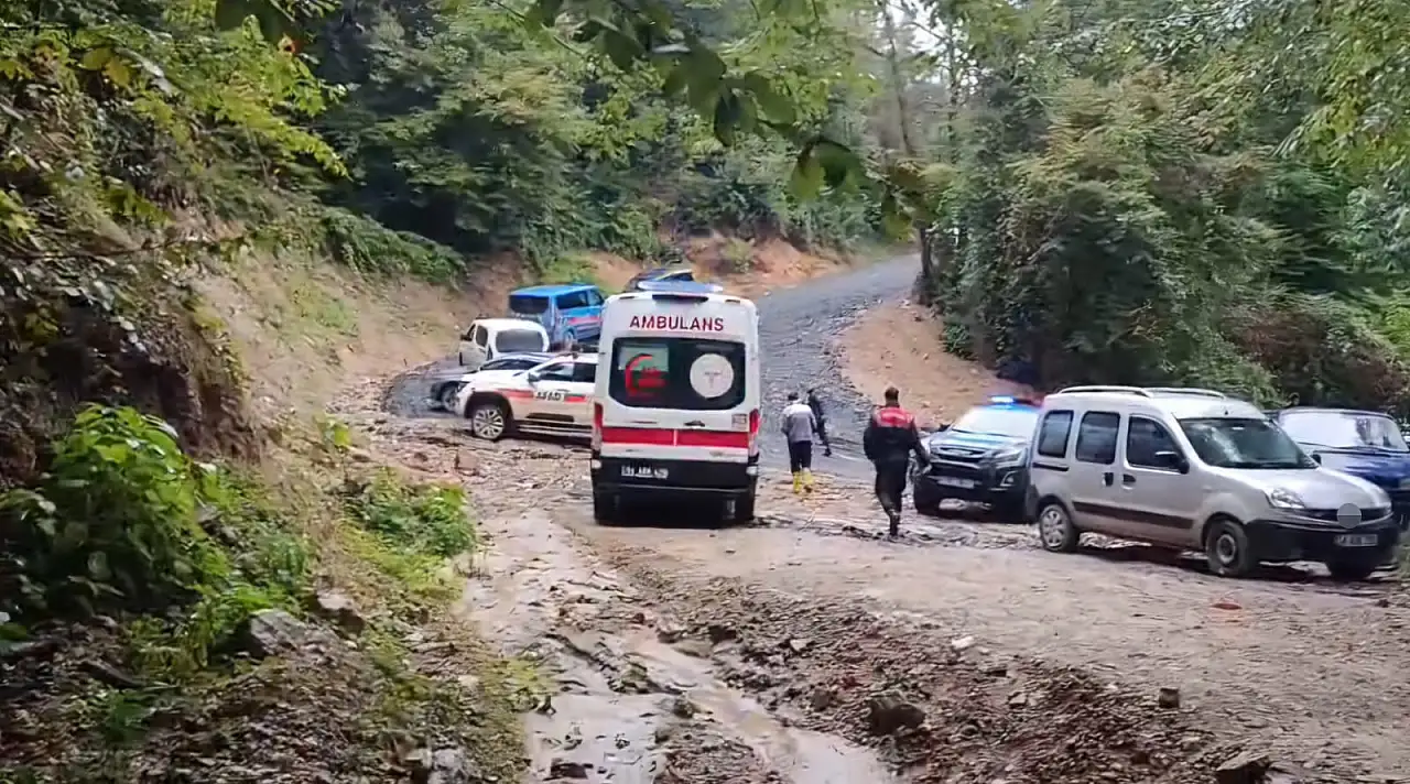 Kestane toplamak için ormana girdi, acı haber geldi!