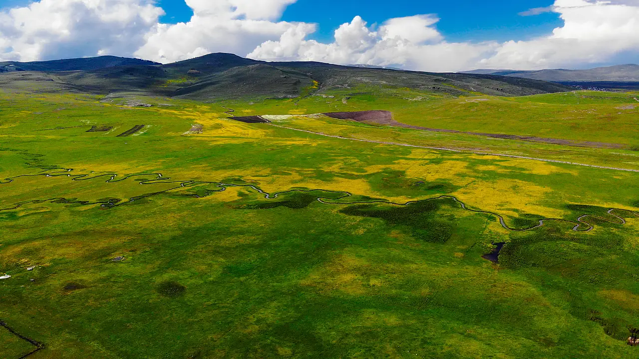 Ardahan'ın Göle İlçesinde Baharın Müjdesi: Köyler Yeşil ve Sarının Büyüsüyle Donandı