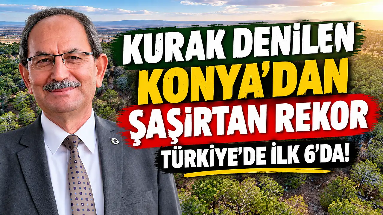 Kurak sanılan Konya meğer orman zenginiymiş! Listede 6. sırada