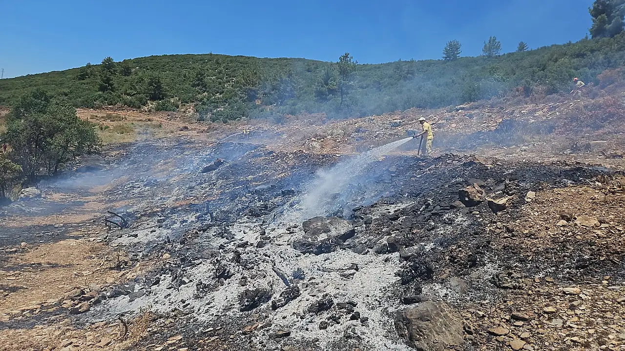 Muğla Menteşe'de yangın