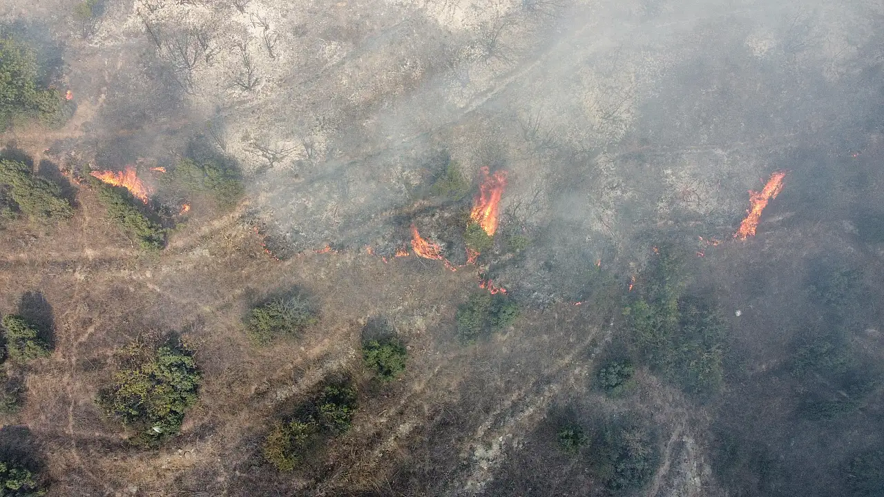 Bilecik'te orman yangını çıktı