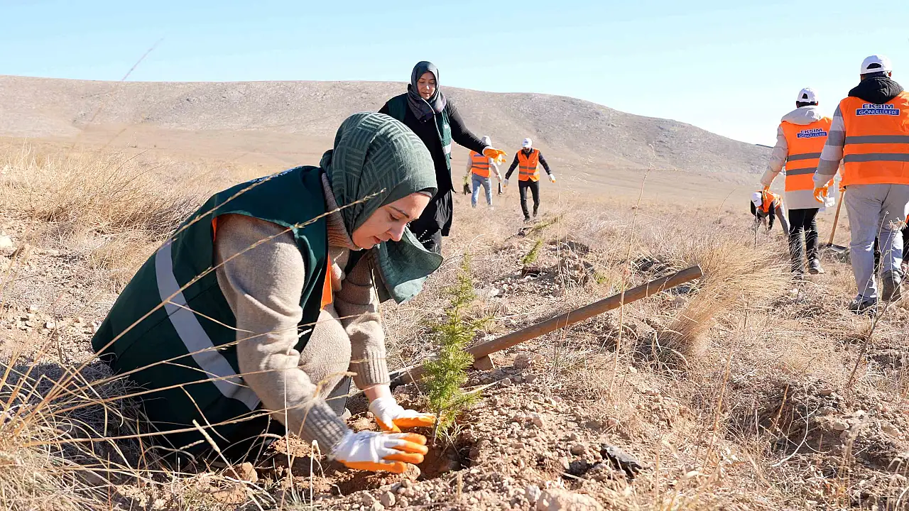 Konya'da 2 Bin Fidan Toprakla Buluşuyor