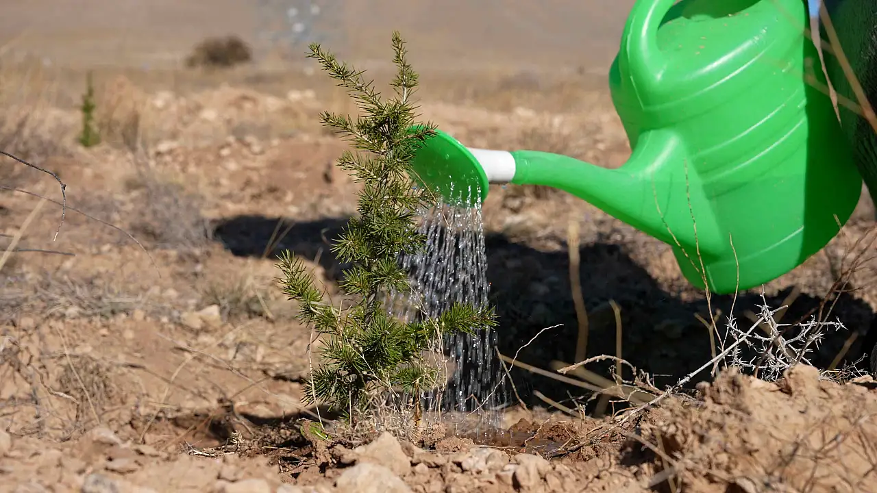 Konya'da 2 Bin Fidan Toprakla Buluşuyor