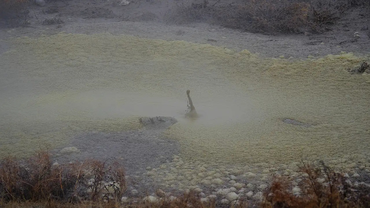 Konya'da kimyasal madde taşıyan tanker devrildi!