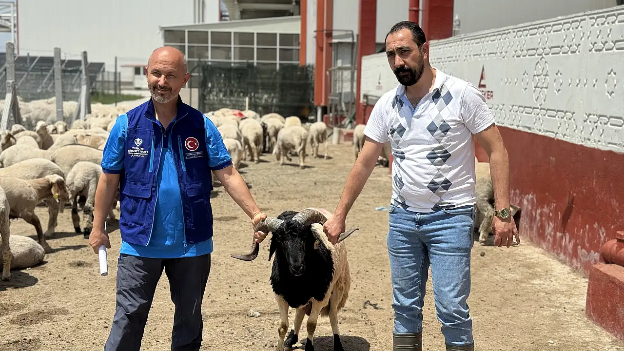 TDV, Konya'da 4 bin 25 kurban hissesini ihtiyaç sahiplerine ulaştıracak