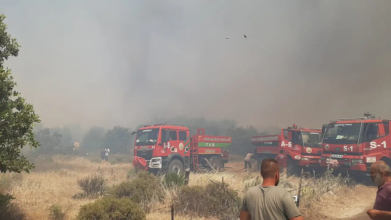 Tarım arazisinde yangın paniği!