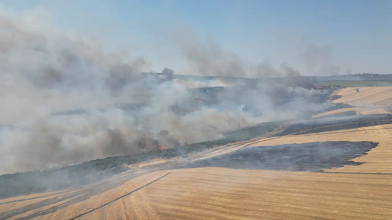 Anız yangını ormana sıçradı
