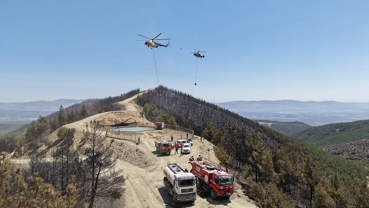 Dün çıkan orman yangınına müdahale sürüyor