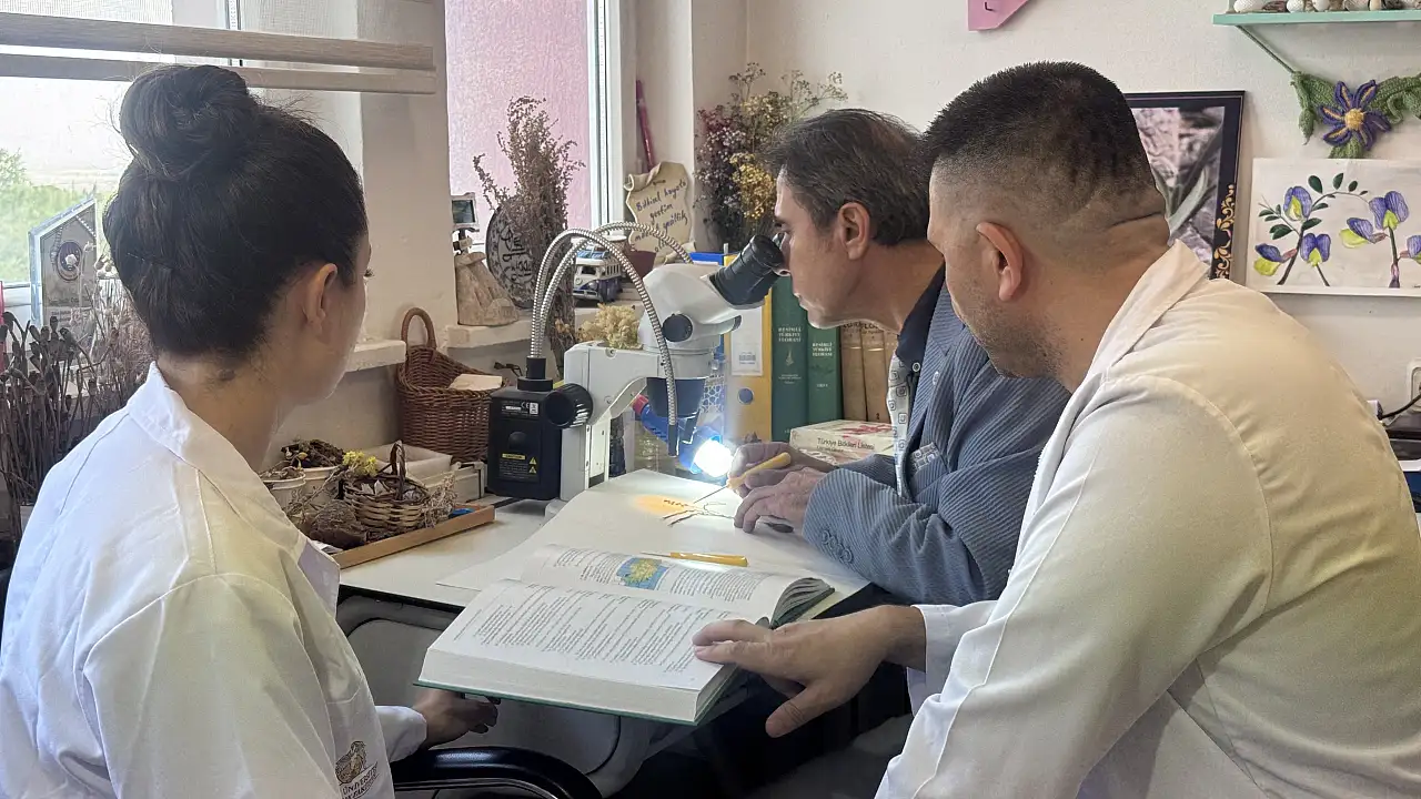 Konya'da yeni bitki türü keşfedildi: 'Konya Sümbülü'