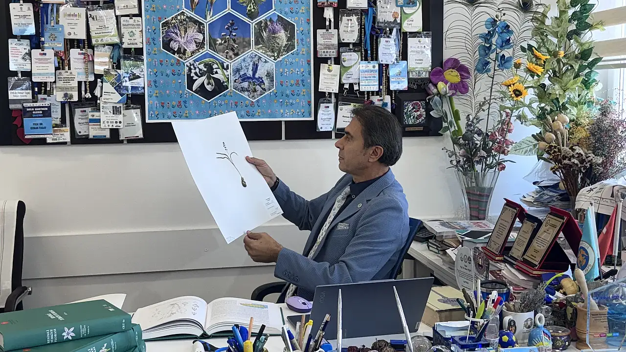 Konya'da yeni bitki türü keşfedildi: 'Konya Sümbülü'