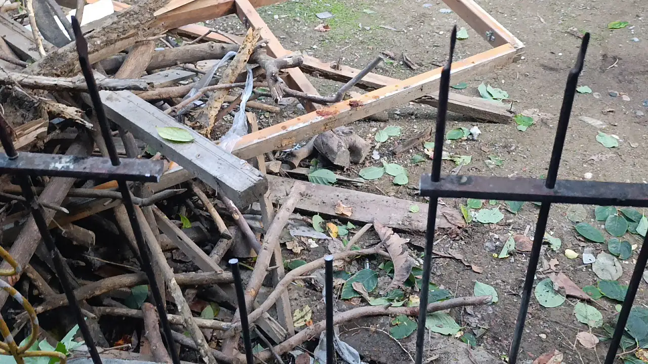 Trabzon hurması toplarken kanlar içinde kaldı