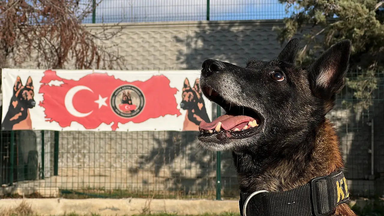 'Bulunmaz' denilen zulalar Konya'daki bu burunlardan kaçamıyor