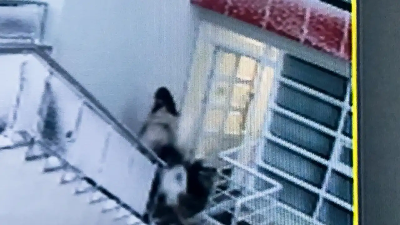 Konya'da kız arkadaşını darp ettiği iddia edilmişti! O genç kamera kayıtlarıyla ilk kez konuştu: 'Şantaj ediliyorum'