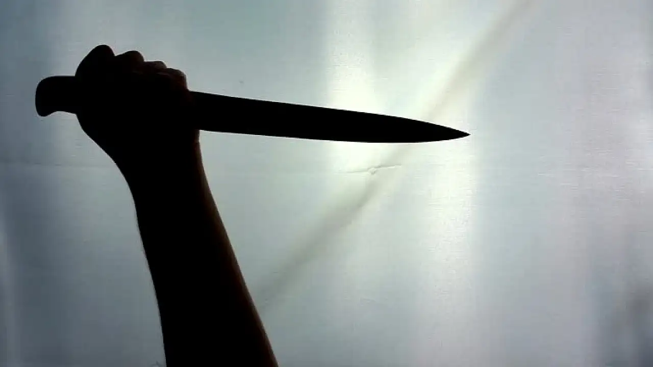 Konya'da emekli astsubay eşini 7 kez bıçaklamıştı: 'Gözlerinizi kapatın' söylemi dikkat çekti