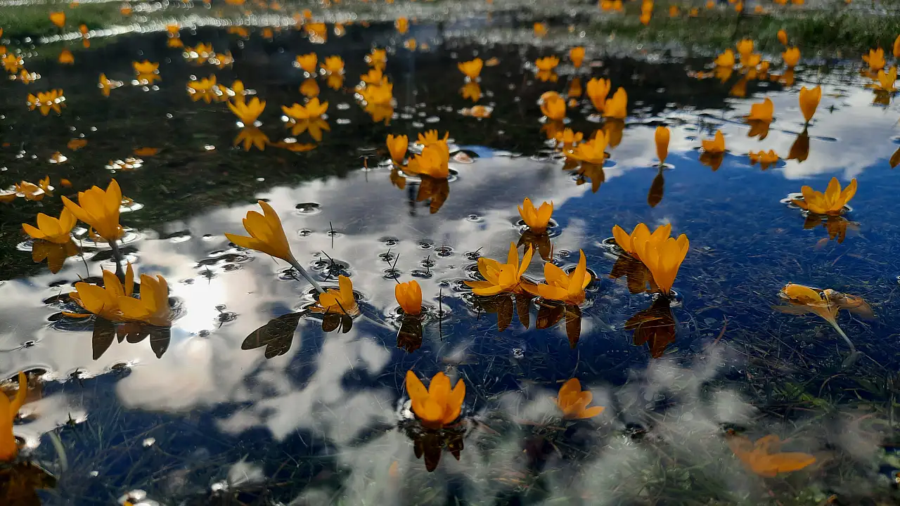 Konya'da bahar havası esiyor!