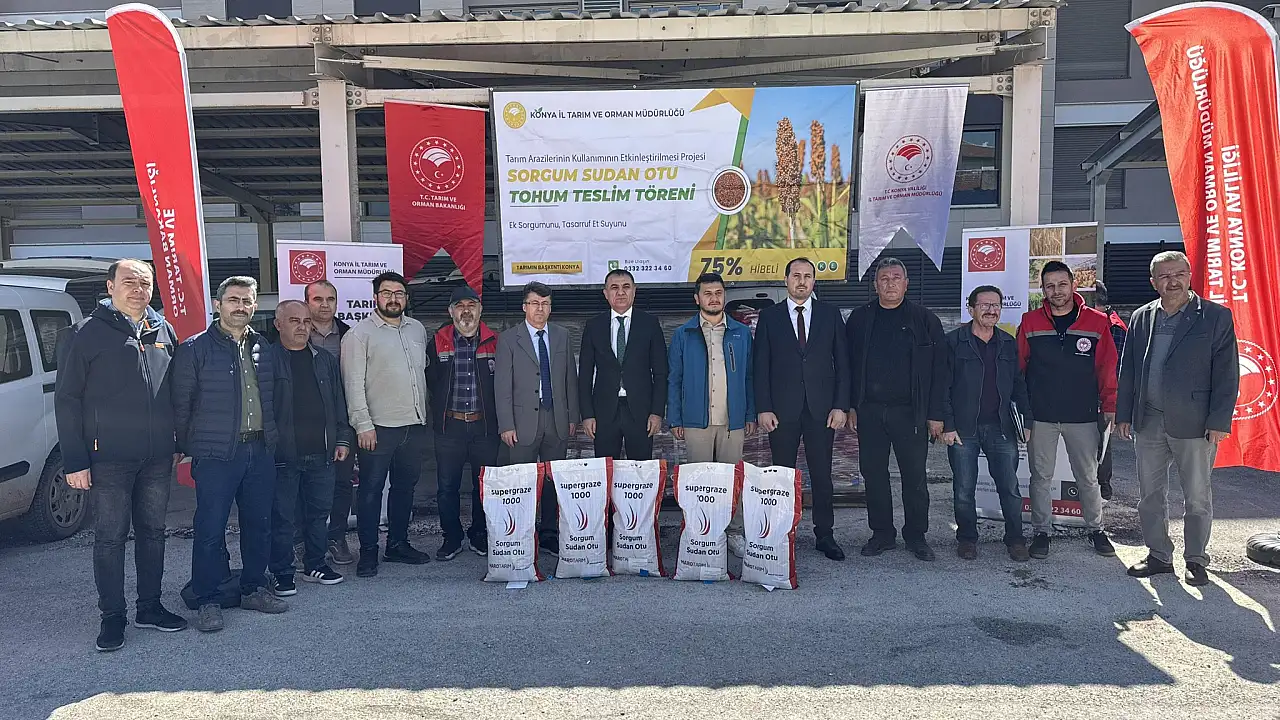 Konya'nın kaba yem açığına 'Sorgum Sudan' çözümü
