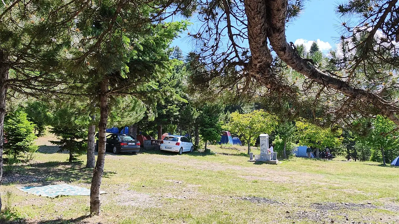 Konya'da 2 yıllık özlem Gölcük Yaylası'nda bitti