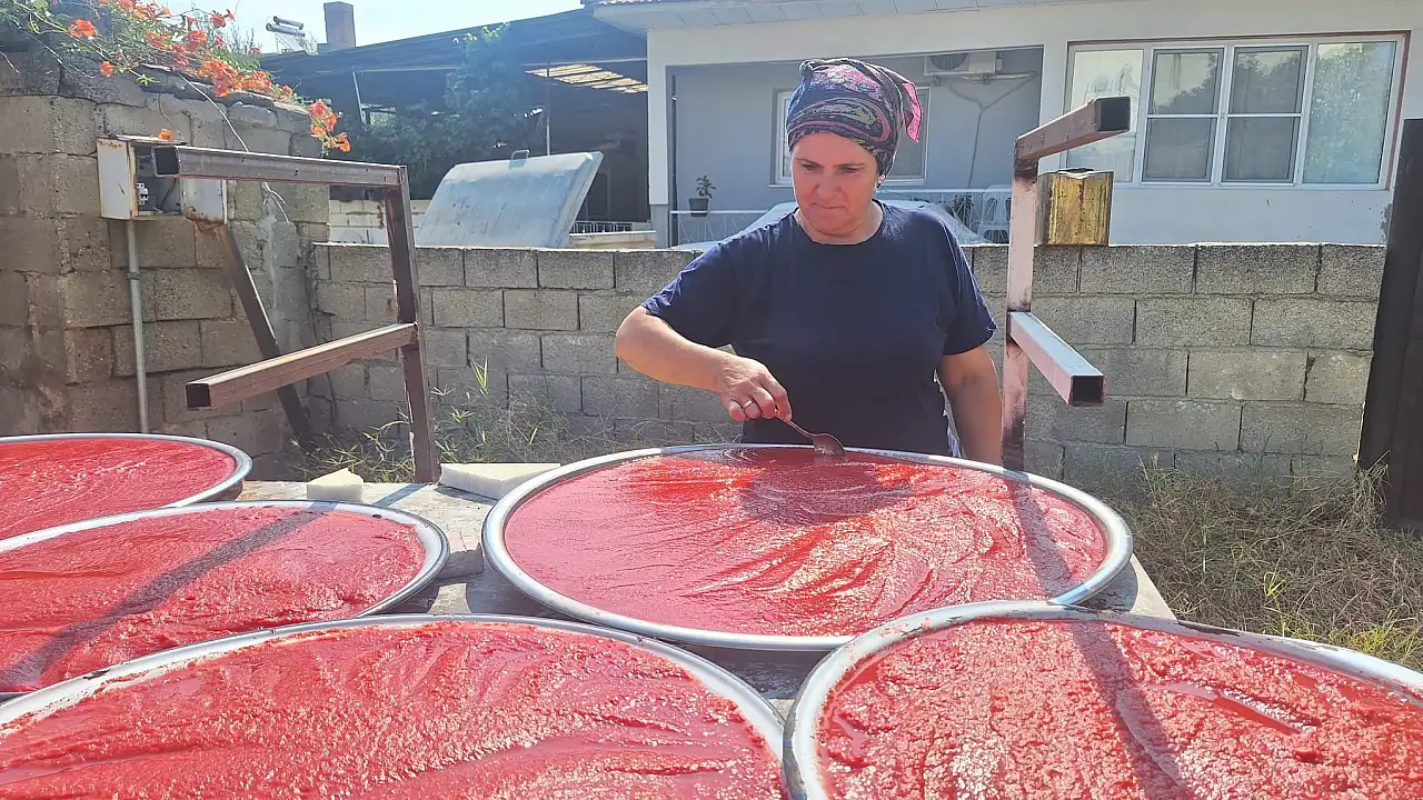 Yazın sıcağını kışa saklıyorlar! 10 günde hazır oluyor
