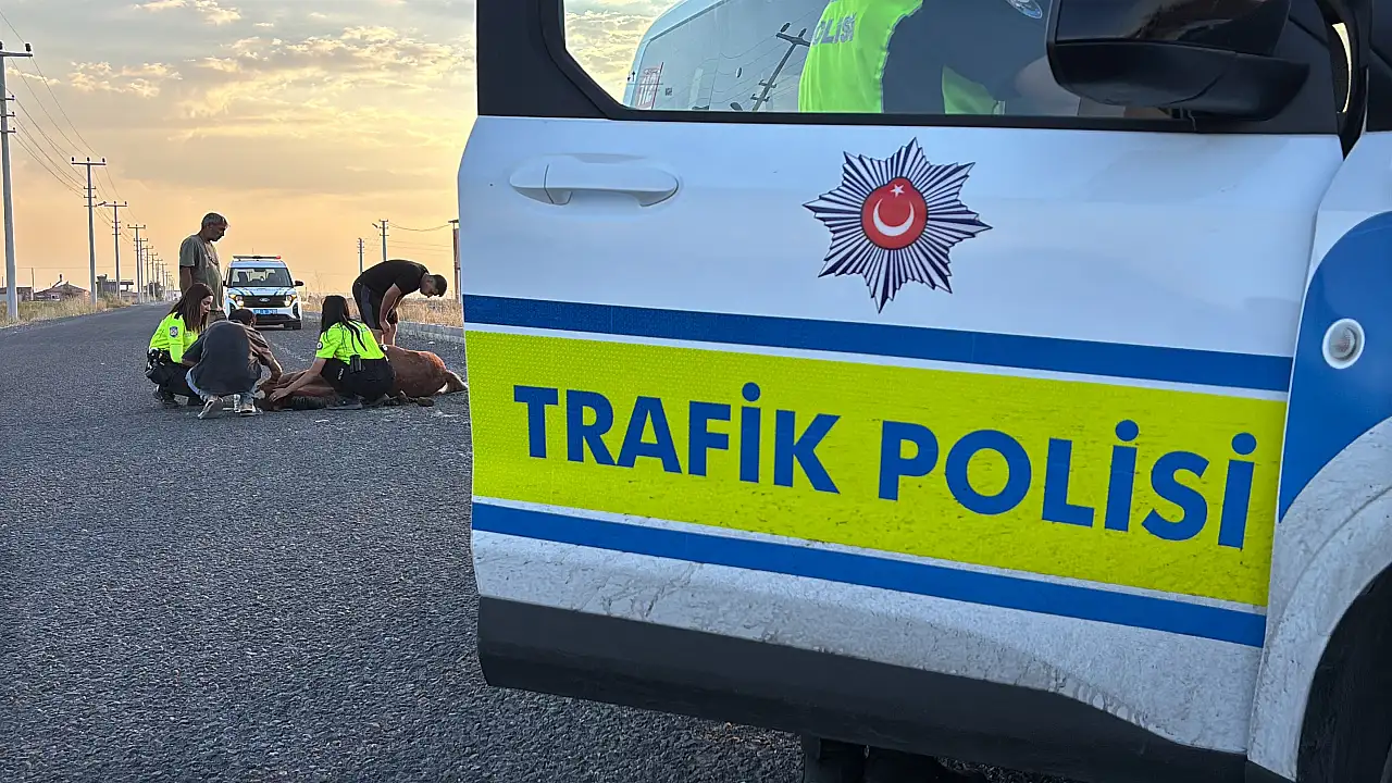 Saatlerce acılar içinde kıvrandı yardım gelmedi! Yoldan geçen çekiciyle götürdüler