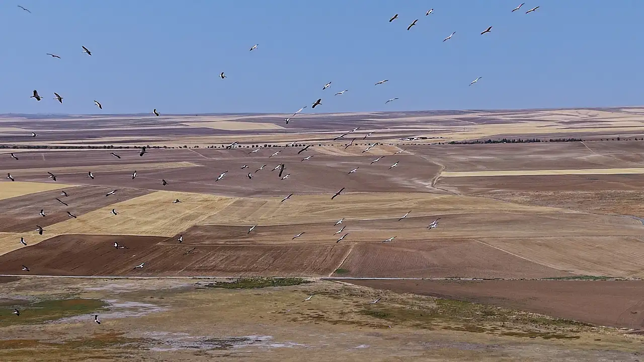 Konya'da gökyüzünde görsel şölen!