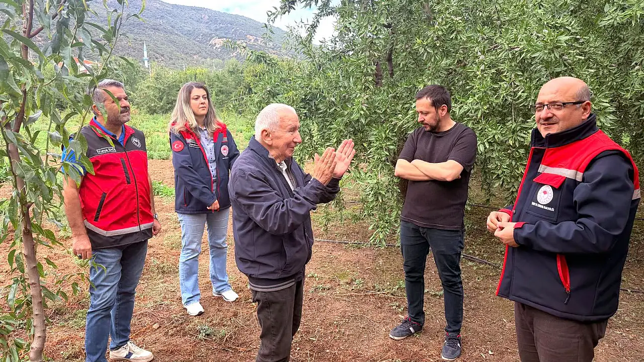Konya'da kiraza rakip çıktı! Üreticinin tercihi değişiyor