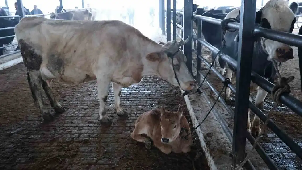 9 köy ve 1 belde karantinaya alındı