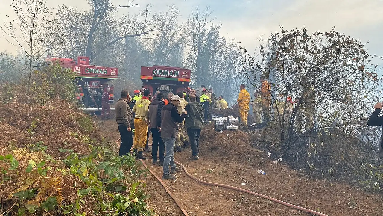 5 hektarlık alanın zarar gördüğü yangını söndürme çalışmaları devam ediyor!