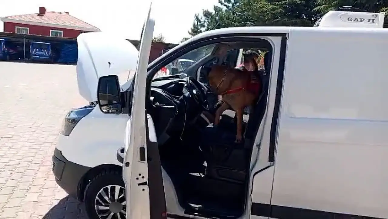 Zehir tacirine karşı Zırh engeli! Geçit vermedi