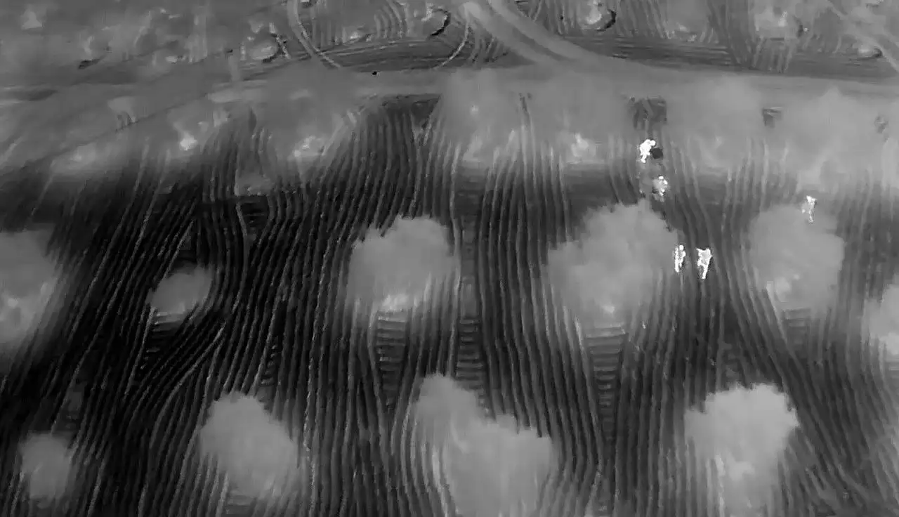 Zeytin bahçesinde uyuşturucu madde ele geçirildi!