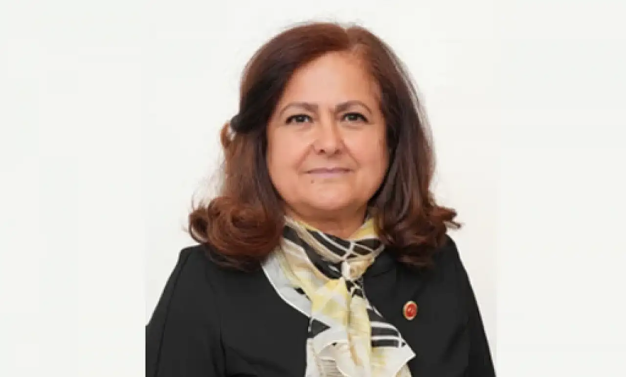 Sibel Tan Çetinkaya kimdir, nerelidir? Sibel Tan Çetinkaya hangi partiden? Sibel Tan Çetinkaya itiraz olayı nedir?