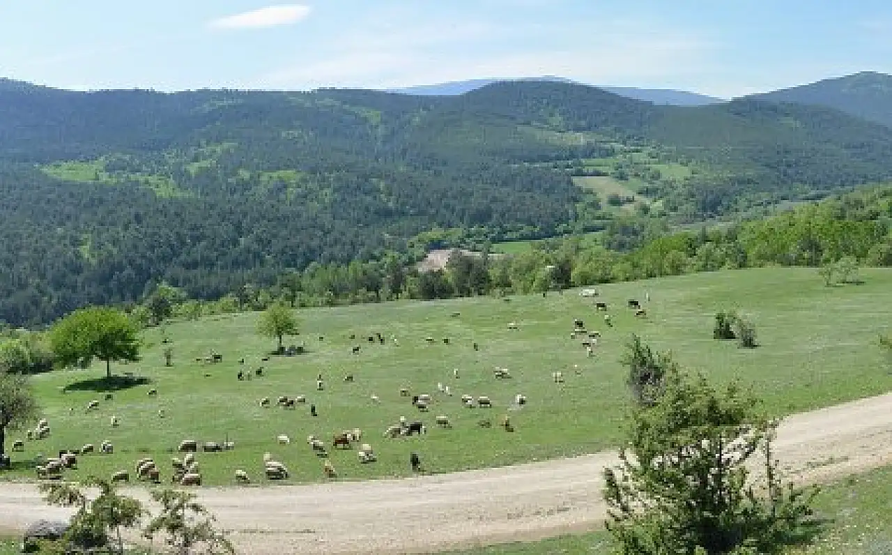 Konya'nın herkesin giremediği ilçesi! Yüzyıllardır sırlarını saklıyor