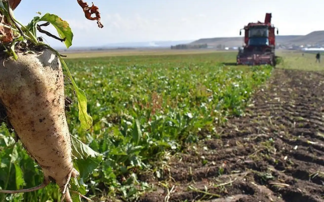 Başkan Erkoyuncu: 2025-2026 sezonu Konyalı çiftçiler için verimli geçti!