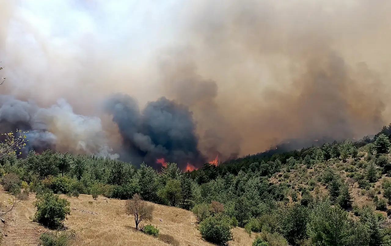 Orman yangınlarında son durum: Mersin'de yangın çıktı